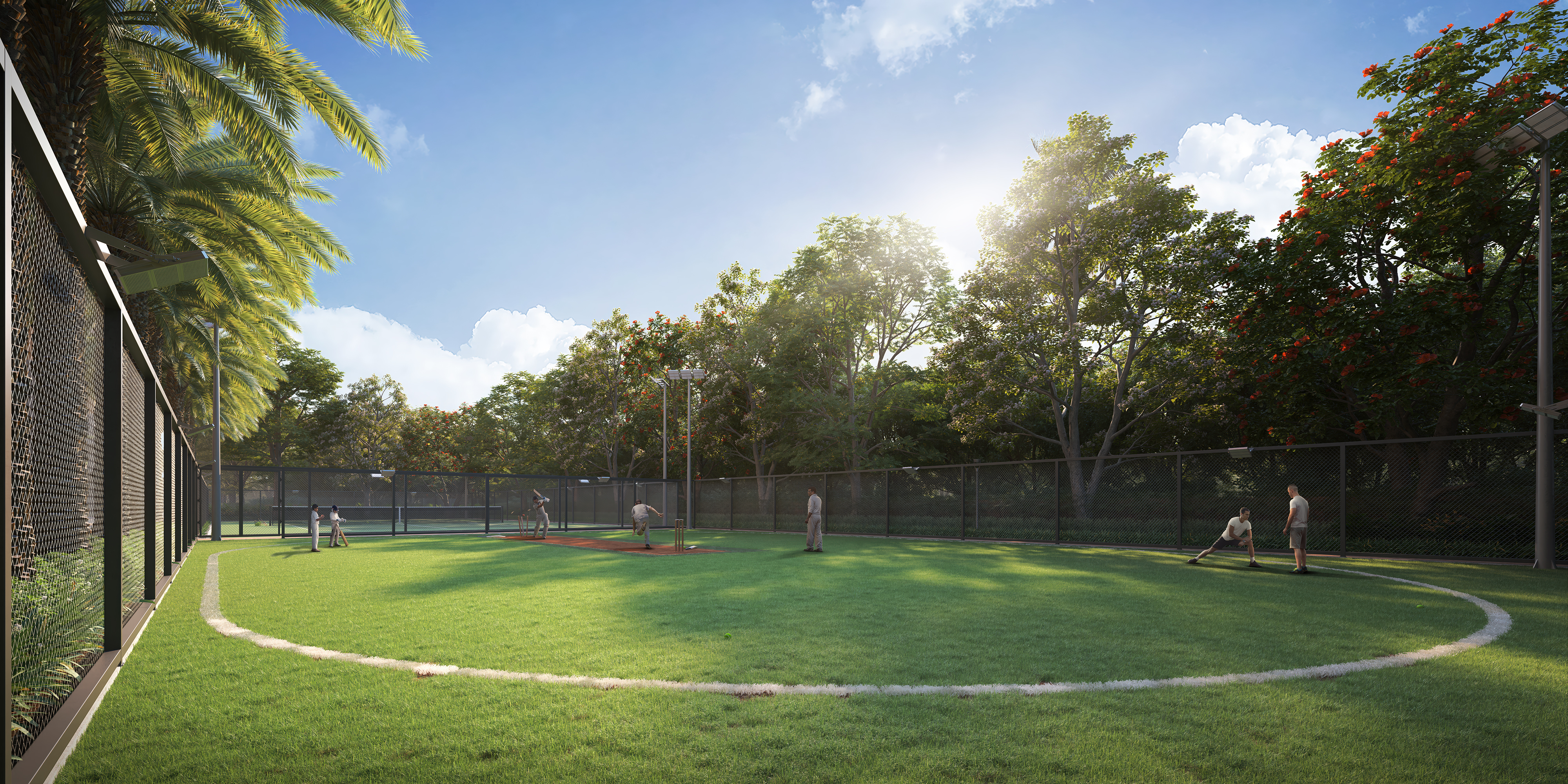 Cricket Practice Net